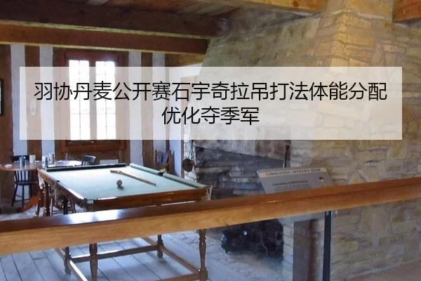 羽协丹麦公开赛石宇奇拉吊打法体能分配优化夺季军（yaxin）